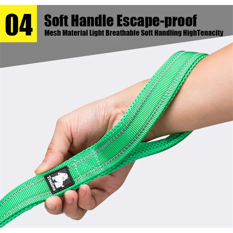Truelove Soft Pet Leash Reflective Nylon Mesh Padded Puppy Large Dog or Cat Walking Training 11 Color 200cm